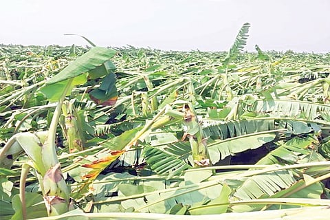 6MDG1