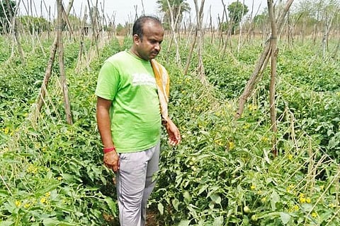 7 Srinivaspur 1