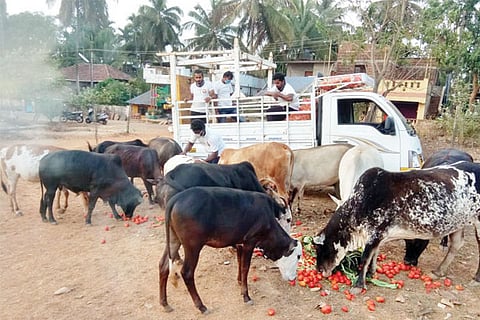 9SIRSI1