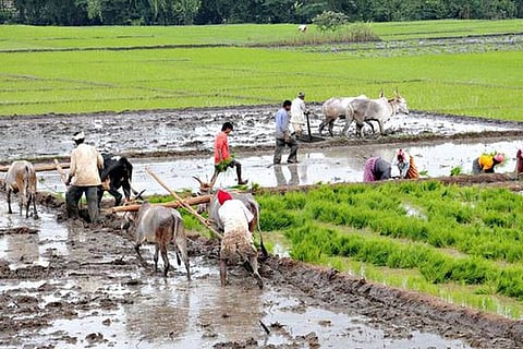 Agri