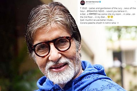 Amitabh Final