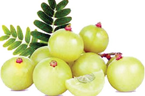 Amla