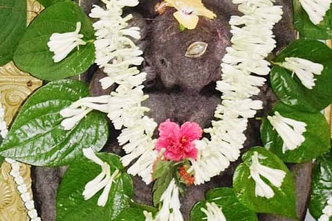 BRM HANUMAN 08 (2)