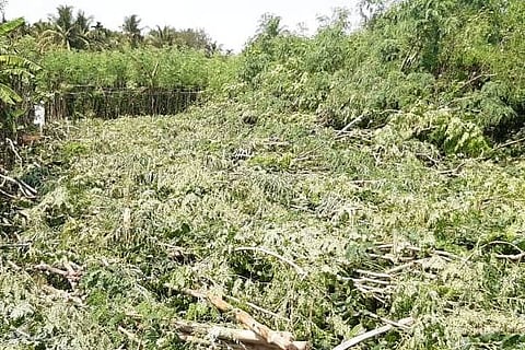 CLK ADIKARIGALA BHEATI 09