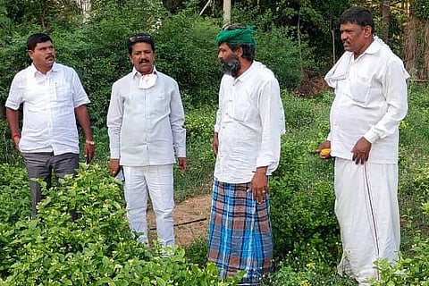 CLK MLA BETI 15