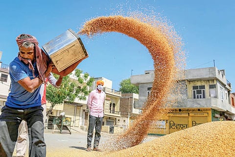 Farmer