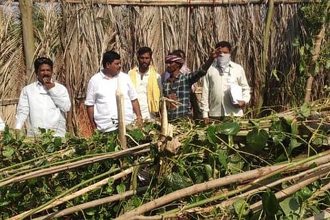 PRPURA BELEHAANI 14