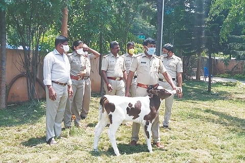 Police 20 April 20
