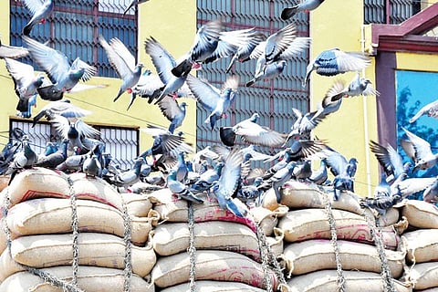 Ration
