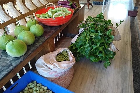 VEG NEW