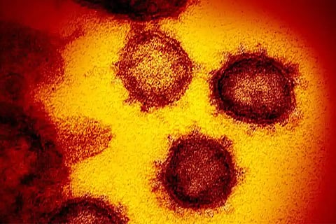 blood clots