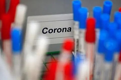 corona