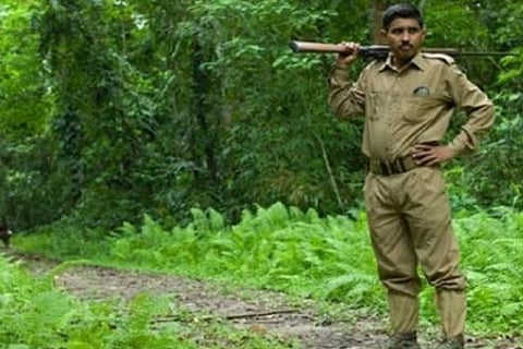 forest guard