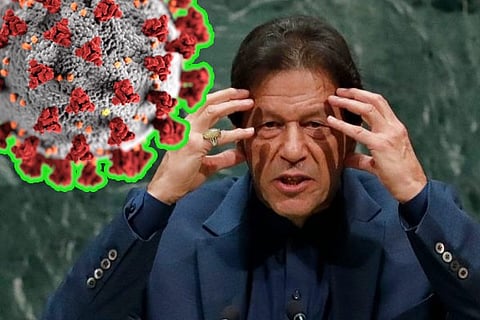 imran-final