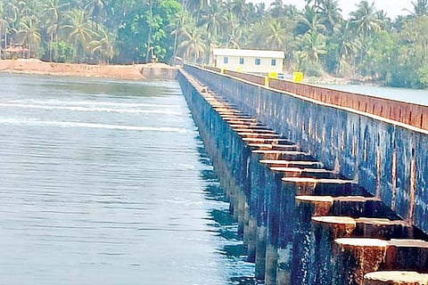 knd dam