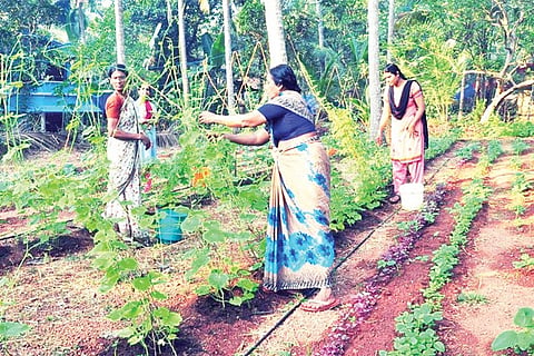 krushi april