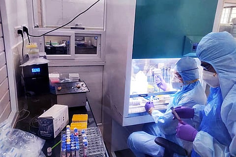 lab new