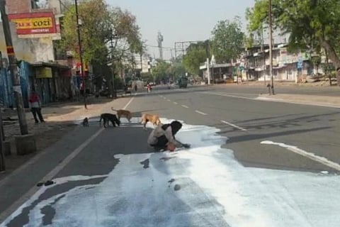 milk