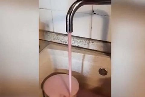 wine