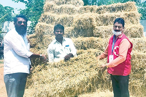 090520 Raichur Cattls Fodder Issue