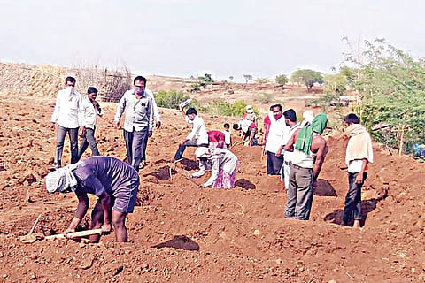 14 ARATAL 1-Web