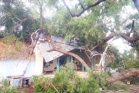 17052020 Raichur tree falling House