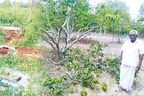 19 budikote 1