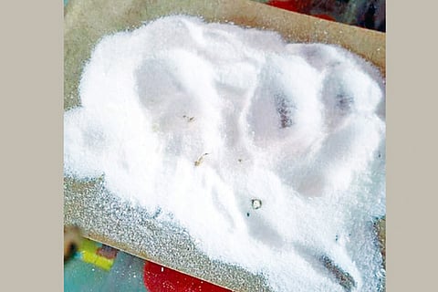20 Nela ph 02 Glucose Powder