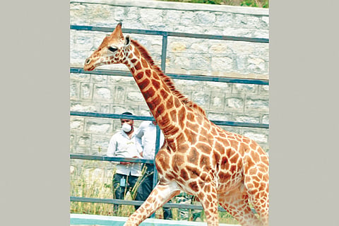 20ank news and photos 03