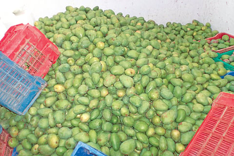 21 Srinivaspur 2+1
