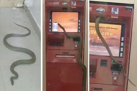 ATM-SNAKE