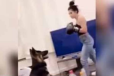 Boxing with dog111