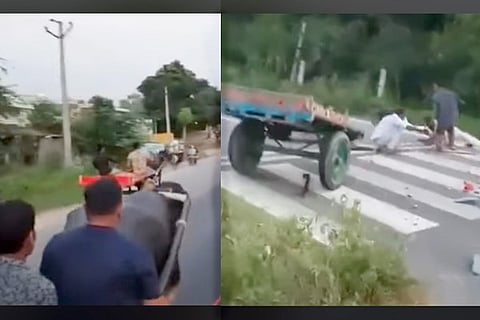 Buffalo Revenge