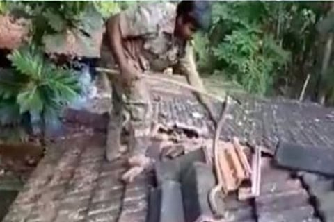COBRA JPG