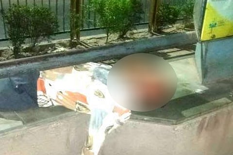 Dead Body