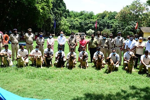Dog Squad 26 may 20