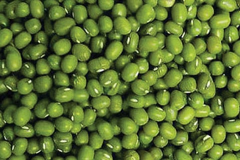 Green-Moong