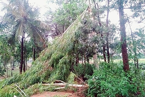 IMG-20200517-WA0166
