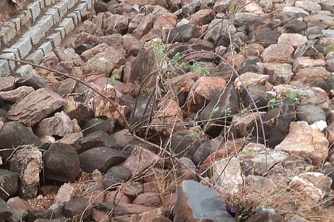 K HALLI CHEK DAM 24 (1)