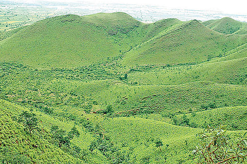 Kappatgudda