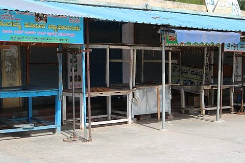 MLK sadila 21 (1)
