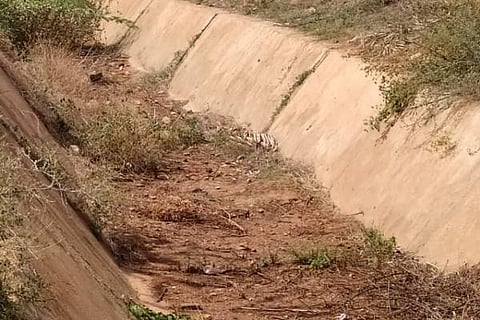 P PURA KAALUVE 28 (1)