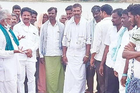 P PURA MLA 22