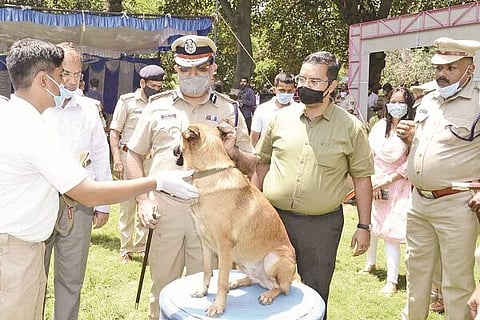 Police Dog park 27 MAY 20