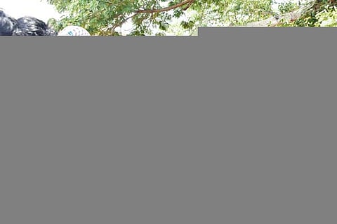 RBS_5345