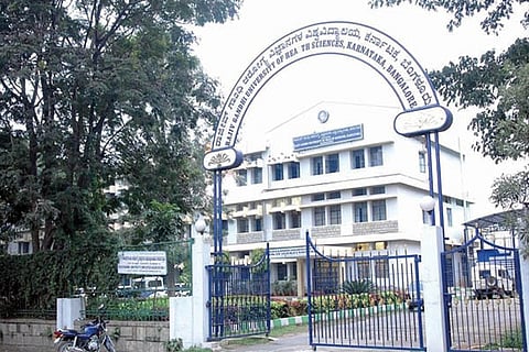 Rajiv