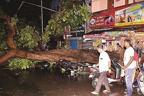 TR_Mill_Chamarajapet