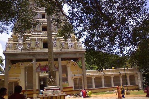 Tample 5 May 20