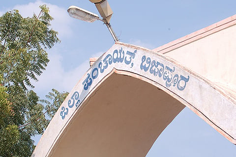 VJP ZP