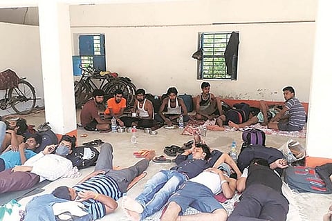biharweb